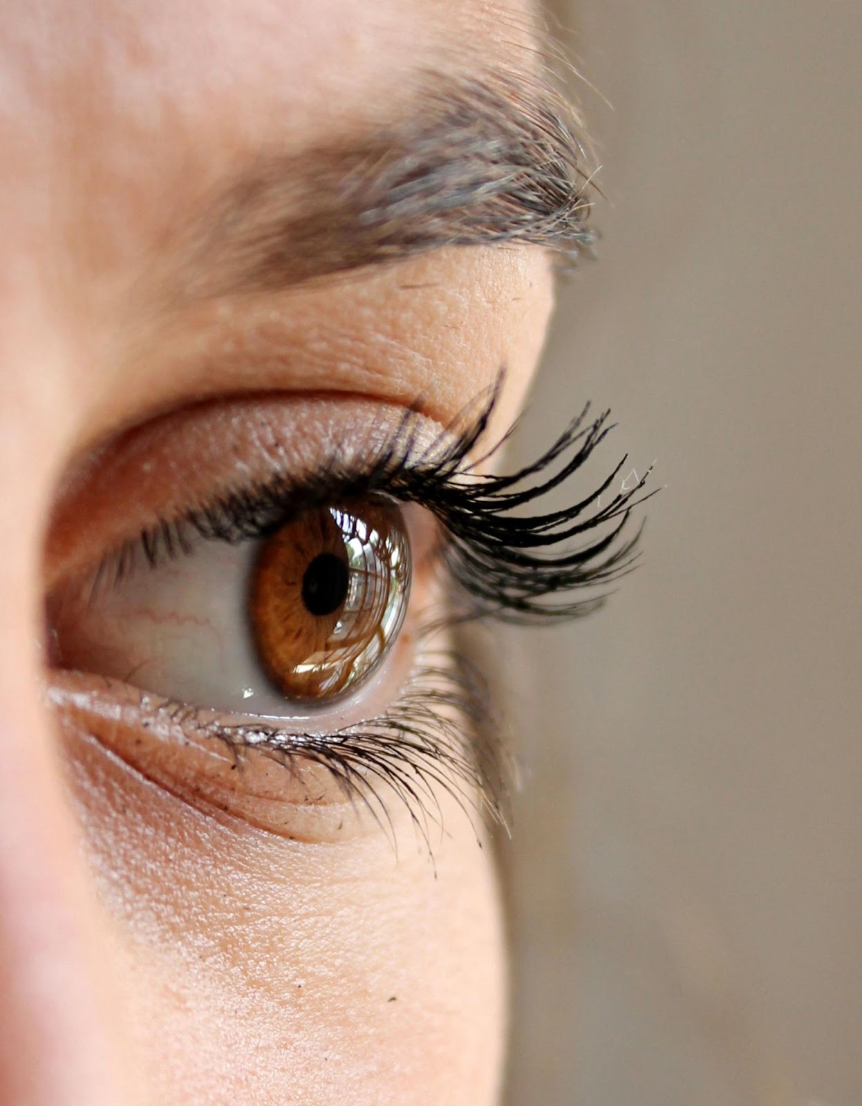 close up of an eye with Transconjunctival Blepharoplasty